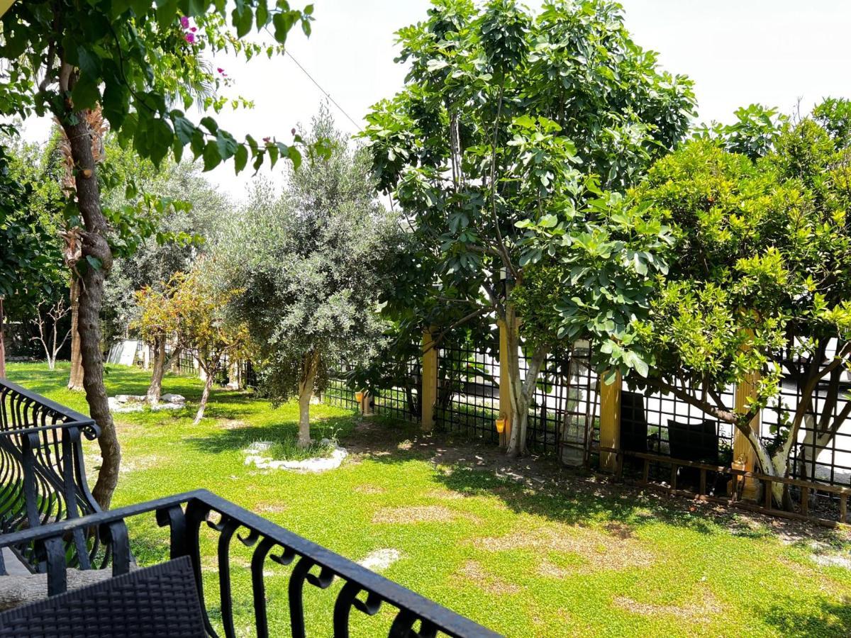 Han Boutique Hotel Sarigerme Ngoại thất bức ảnh